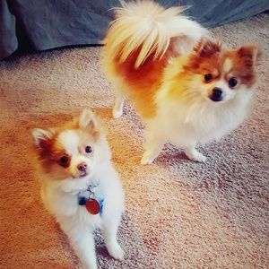 Meet your Posher, Shenae